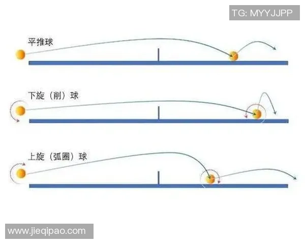 乒乓球的魅力揭晓：深入探讨上海乒乓球队的灵活战术与训练秘诀